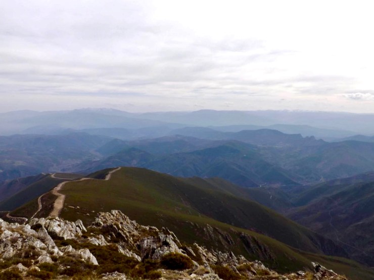 013079C9-9F51-4FEA-90B1-AF7B799F6CCC