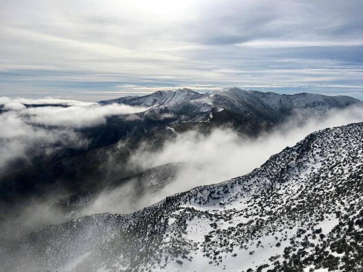 D12EF353-46BA-4AA7-8E2C-317D8B5AE00C