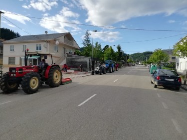 sin-tc3adtulosfafa-2